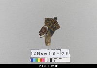 藏品(中國北京皮影)的圖片